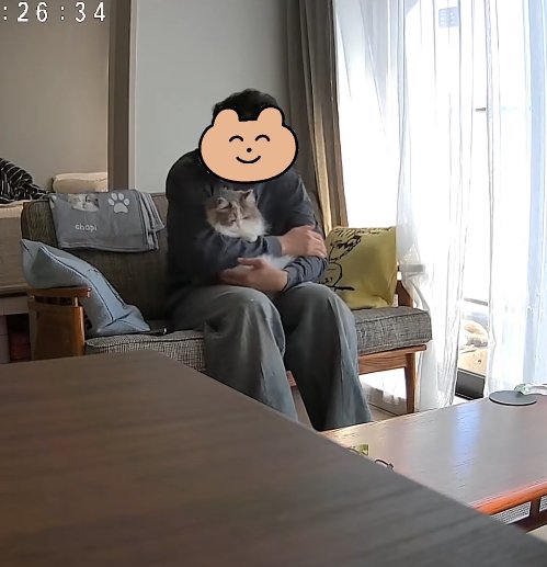 ソファに座って猫を抱っこしている男性(体真っ直ぐ)