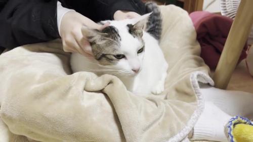 首付近をマッサージされる豆大福さん