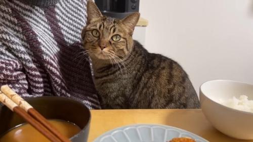 食事中
