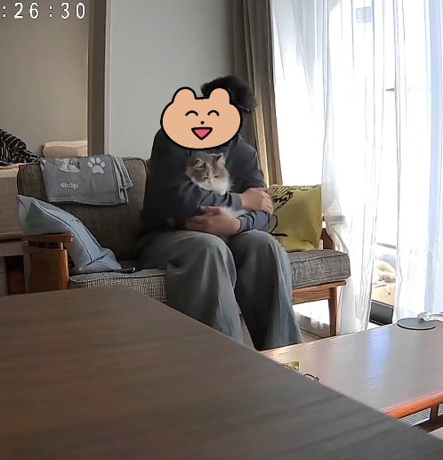 ソファに座って猫を抱っこしている男性(右に傾き)%ちゃぴちゃんが!