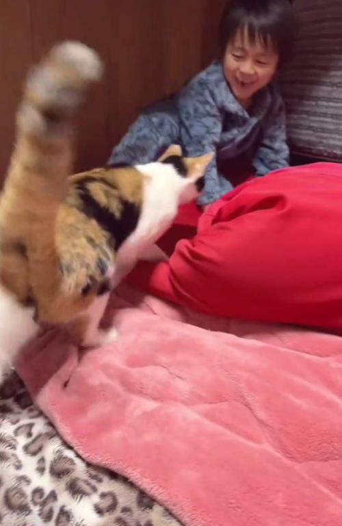 ベッドの上の男の子と猫