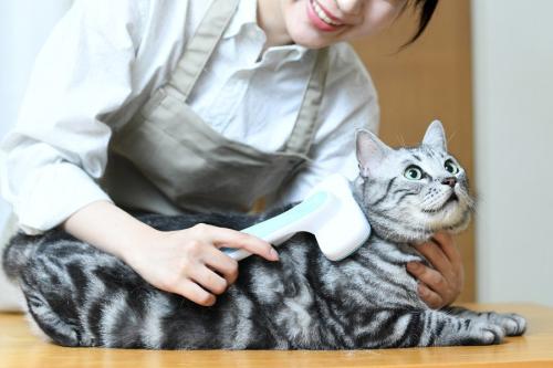 グルーミングされる猫