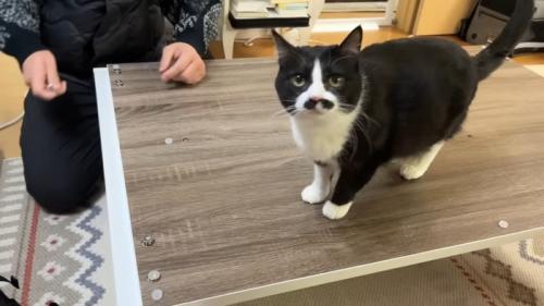 テーブルの上