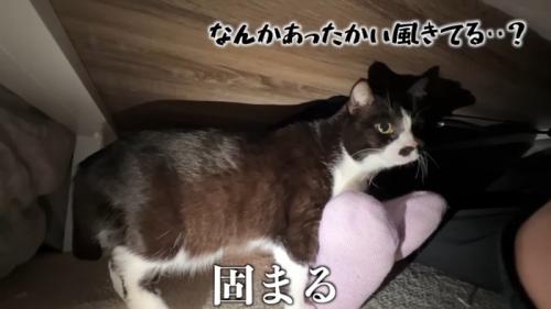 固まる