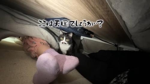 ここは天国でしょうか…?