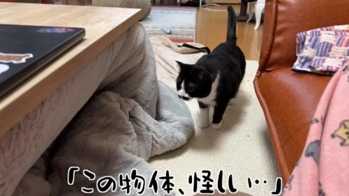 この物体、怪しい…