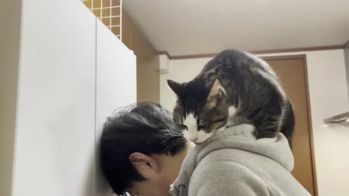 背中の上