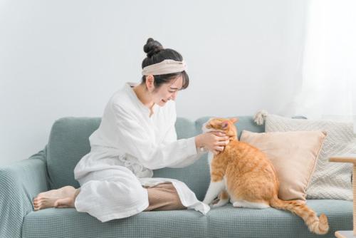 猫にしつけをする飼い主の女性