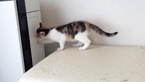 家電にタッチ
