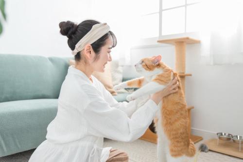 猫の健康チェックを行う女性