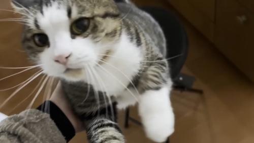 立ち上がろうと