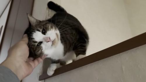 手すりの上