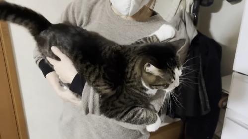 横抱っこ