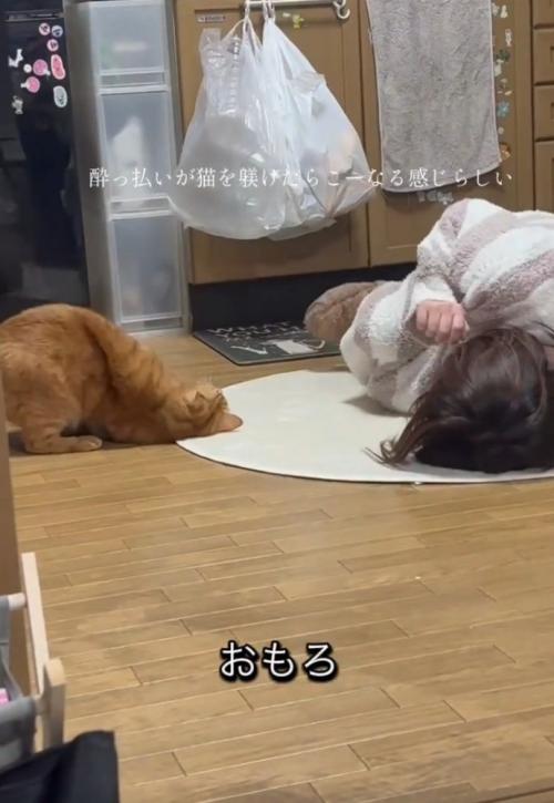何度もマネをする猫