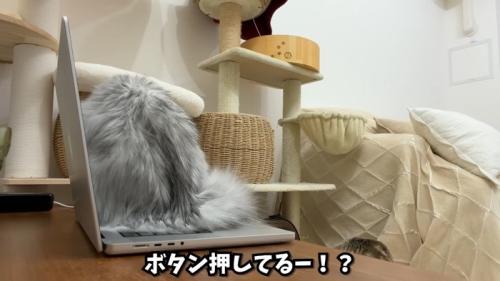 ボタン押してるー!?