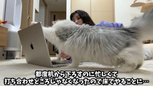 打ち合わせどころじゃなくなったので