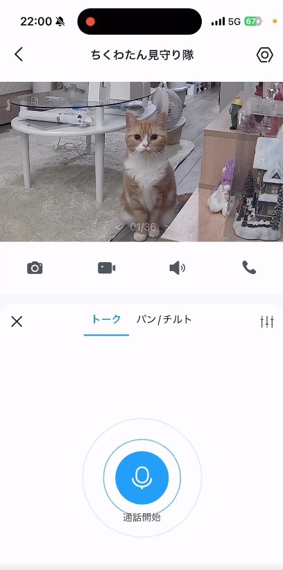 お座りしているカメラ目線の猫を写した見守りカメラ
