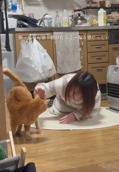 振り返る猫