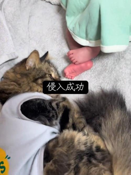 赤ちゃんの足元にいる猫