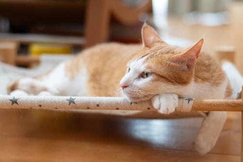 自立タイプのハンモック