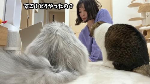 すご!どうやったの?