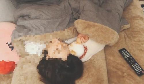 一緒に寝る猫と飼い主