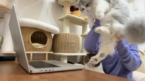 持ち上げられるしろがね丸くん