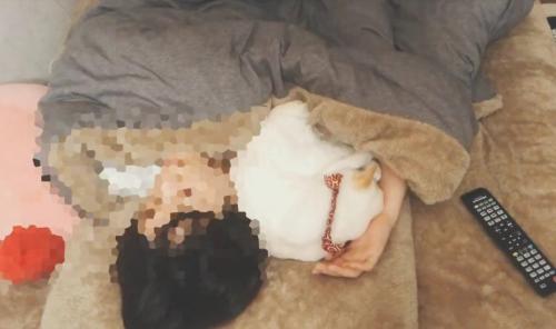 一緒に寝る猫と飼い主