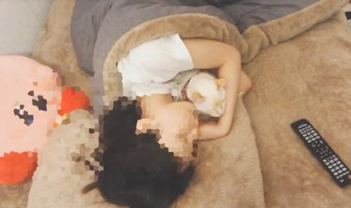 一緒に寝る猫と飼い主