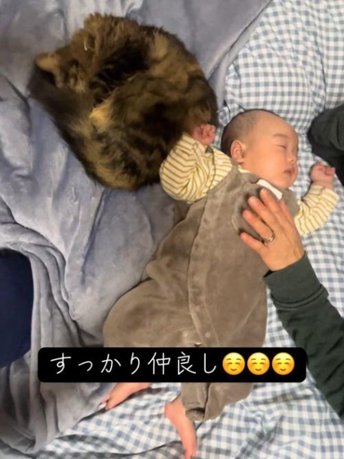 赤ちゃんの隣で丸くなる猫