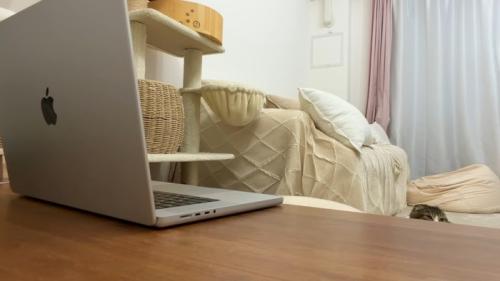 ぽこ太郎くんの頭