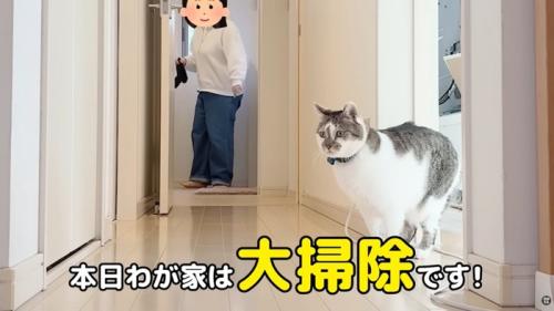 テロップ「本日わが家は～」