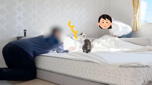 パパさんへ左前足を伸ばす猫ちゃん