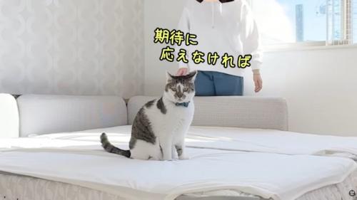 テロップ「期待に応えなければ」