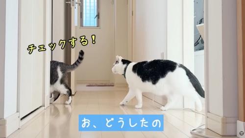 テロップ「お、どうしたの」