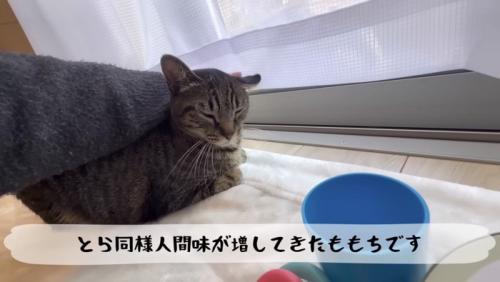 ももちの紹介写真