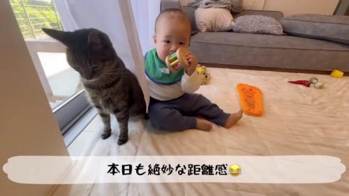 近づいていった赤ちゃん