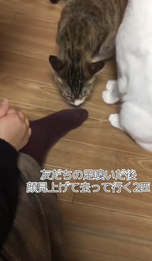 「友だちの足...」のテロップ写真2