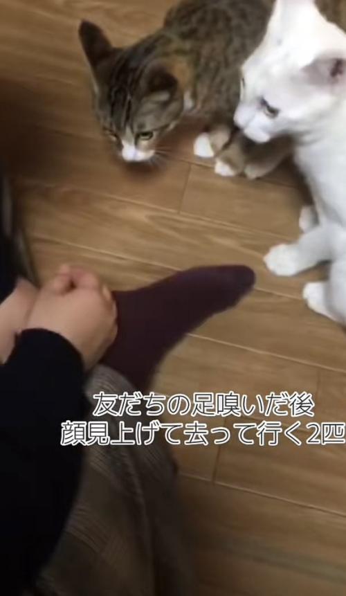 「友だちの足...」のテロップ写真