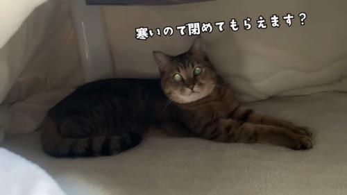 寒いので閉めてもらえます?