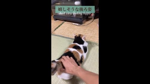 嬉しそうな後ろ姿