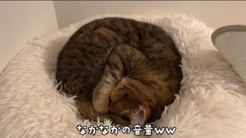 なかなかの音量