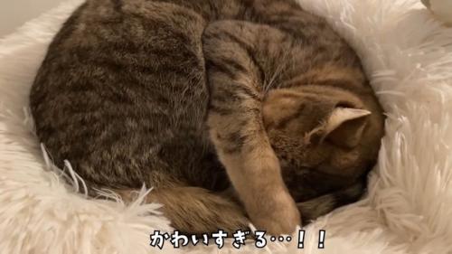 かわいすぎる…!!