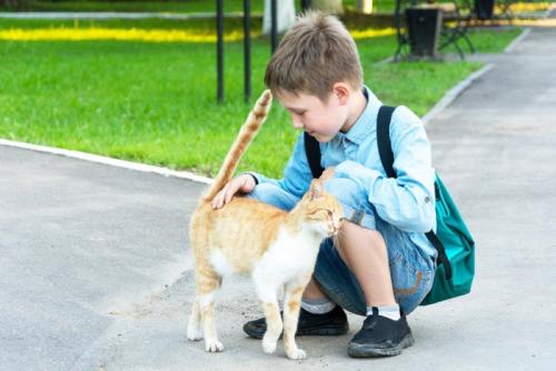 野良猫の腰を撫でる小学生