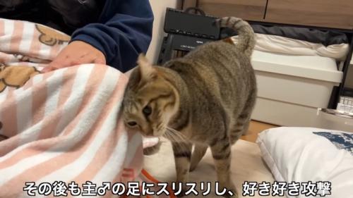 足にスリスリ