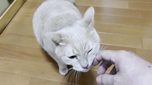 指にスリスリ