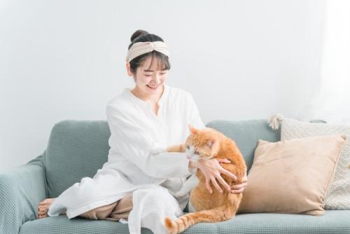 抱っこを嫌がる猫