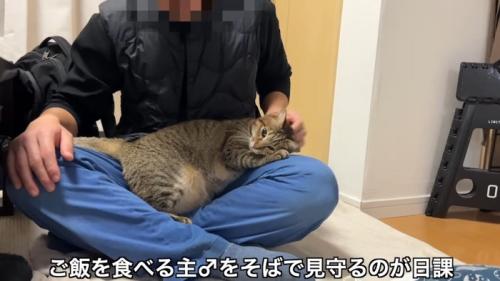 お膝の上