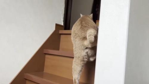 階段