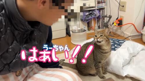 はあい！！